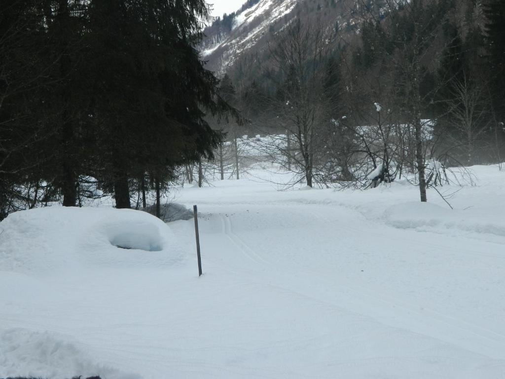Logis Hotel Les Sapins Montriond Kültér fotó