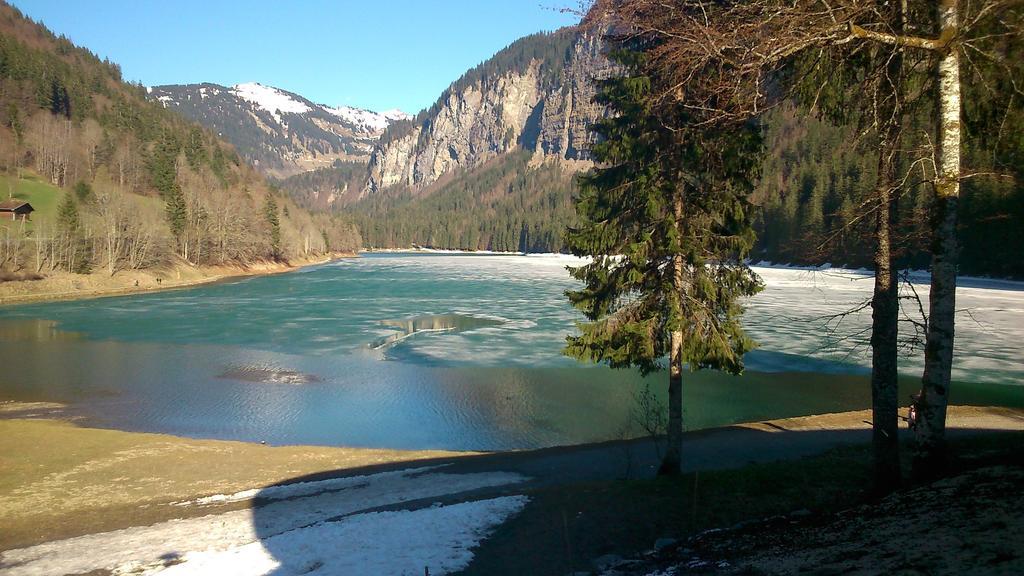 Logis Hotel Les Sapins Montriond Kültér fotó