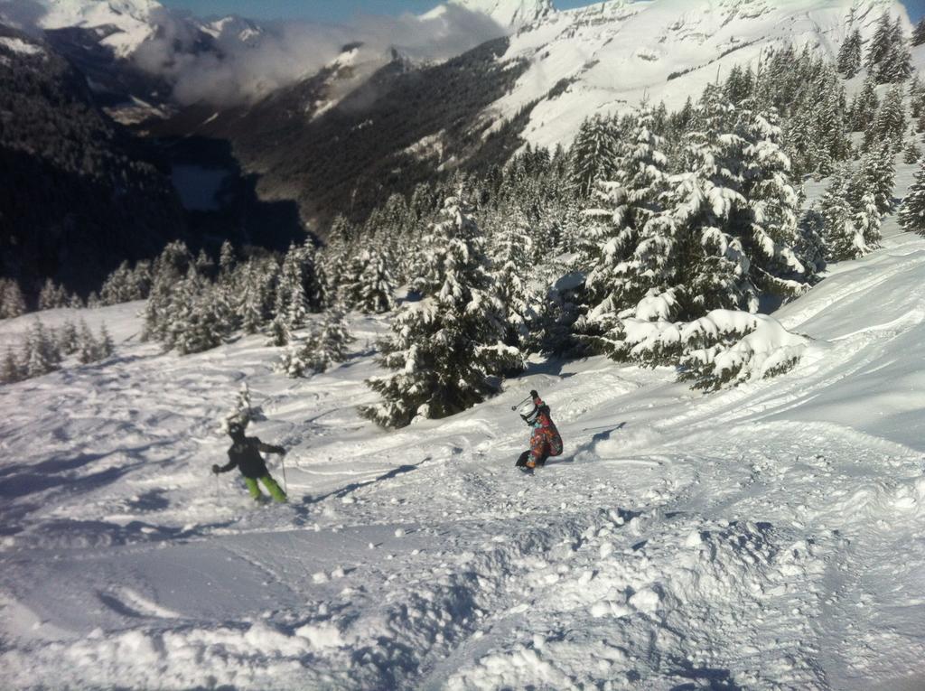 Logis Hotel Les Sapins Montriond Kültér fotó